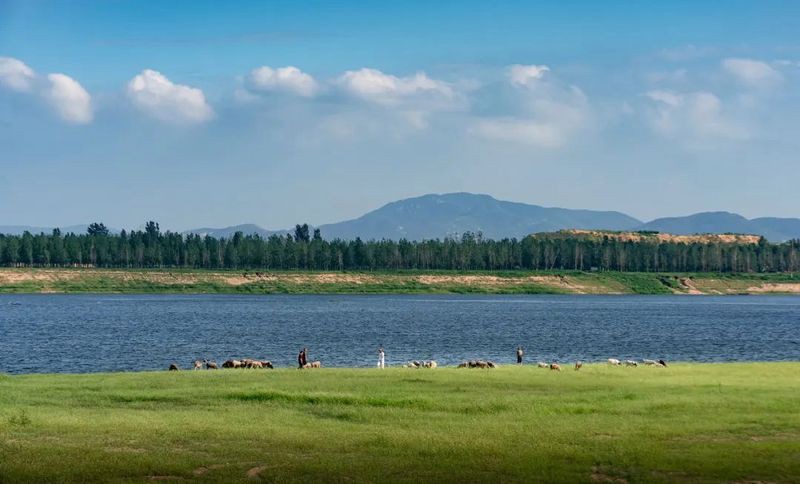 汶上龍魚(yú)店，汶上龍魚(yú)店開(kāi)業(yè)啦！