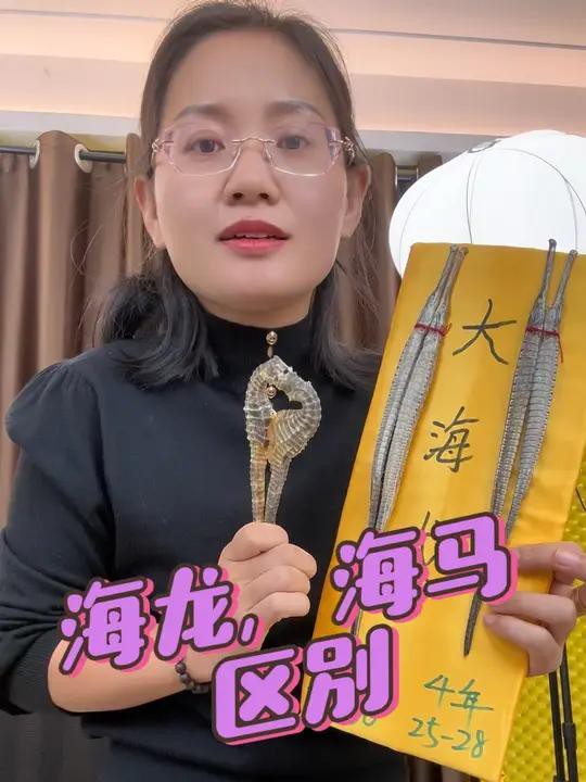 如何區分不同種類的海龍？，好貨分享藥材滋補海龍海馬和海龍作用一樣就是一個野生