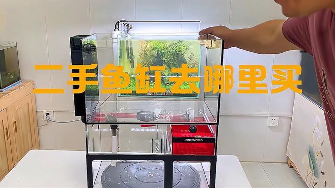 二手魚缸哪里買最便宜，二手魚缸哪里買最便宜二手魚缸購買渠道及性價(jià)比分析