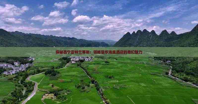 西寧水族店，西寧水族店分布廣泛且各具特色為當地居民及愛好者提供了豐富的選擇