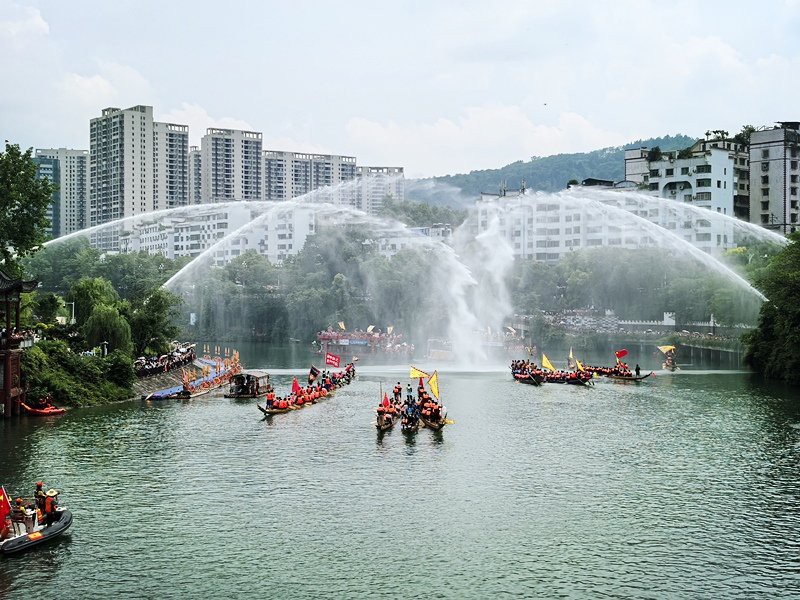 碧江龍魚(yú)店，碧江龍魚(yú)市場(chǎng)價(jià)格如何推薦幾家信譽(yù)良好的龍魚(yú)店