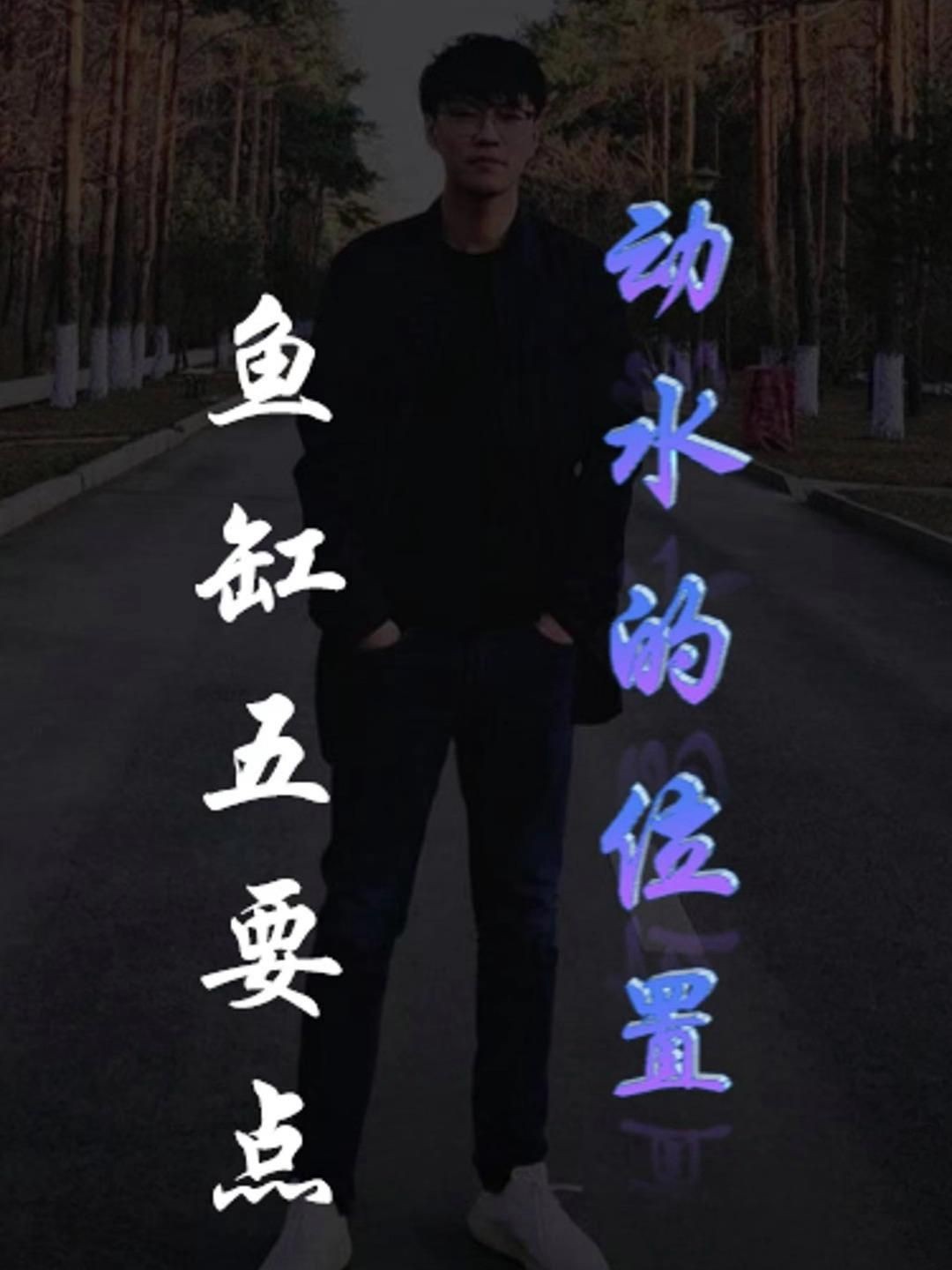 家庭水族箱布置建議，《家庭水族箱布置建議》家庭水族箱布置建議》家庭水族箱布置建議