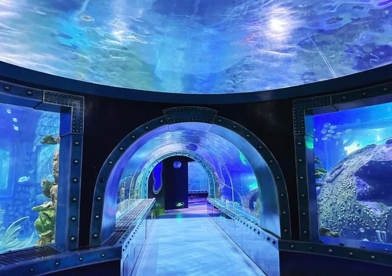 蓮湖水族店，西安市蓮湖區莎美婭水族店