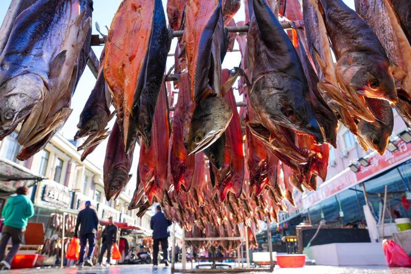 綏濱龍魚店，綏濱縣有哪些高端龍魚養(yǎng)殖場