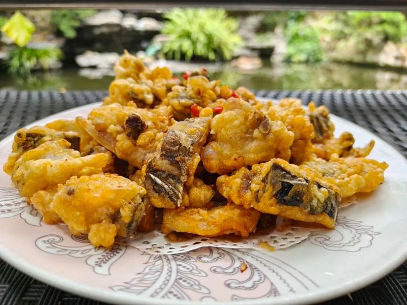 柯坪龍魚店，柯坪龍魚店的具體地址在哪里 柯坪龍魚店，柯坪龍魚店的具體地址在哪里 全國水族館企業名錄 第2張