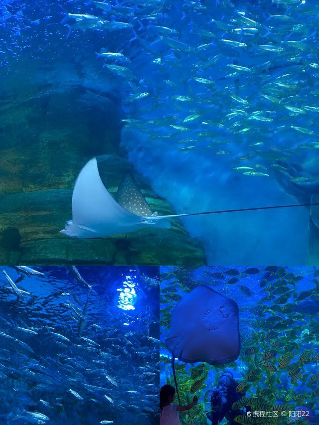 湖里水族店，廈門市湖里區有哪些水族店