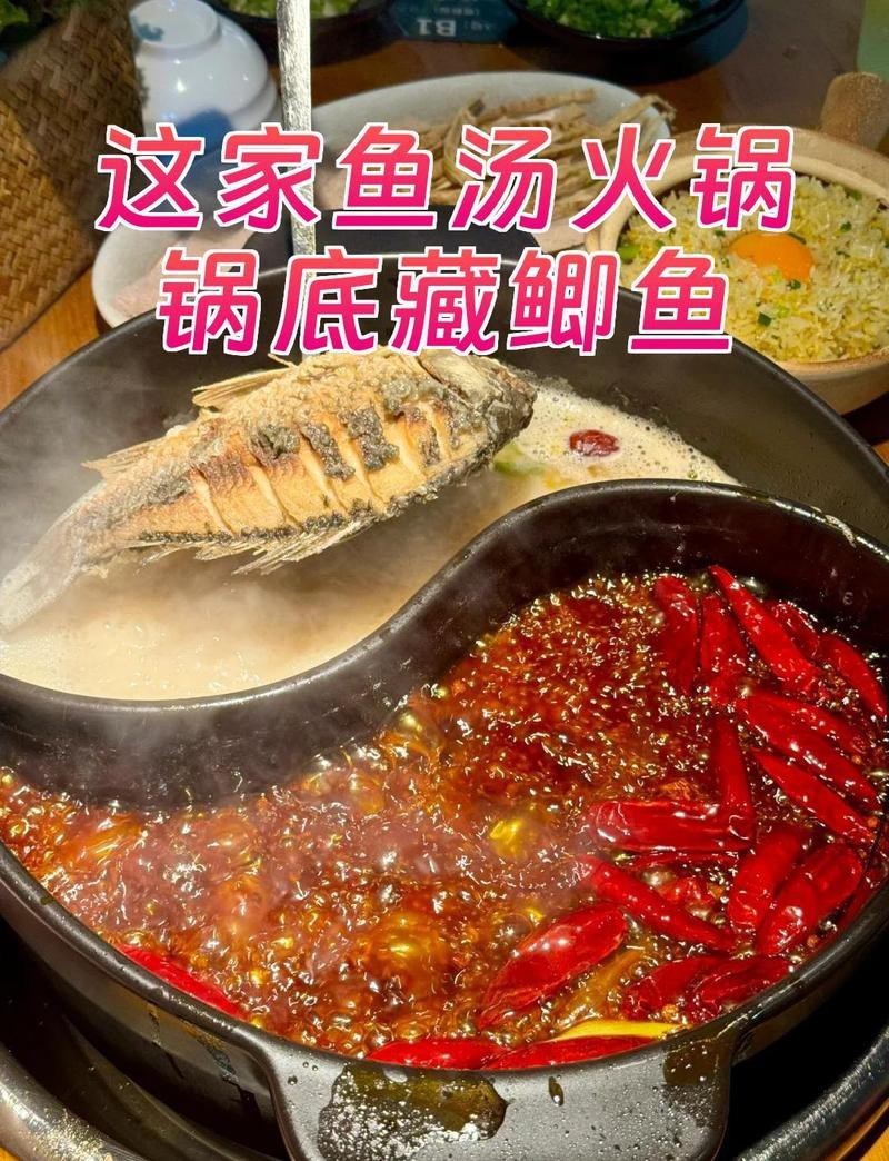 行唐龍魚店，大熊的生活小記