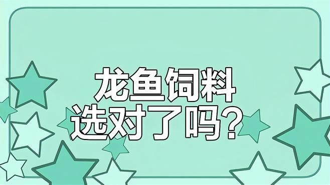 有哪些適合龍魚恢復的飼料？，適合龍魚恢復期的飼料摘要