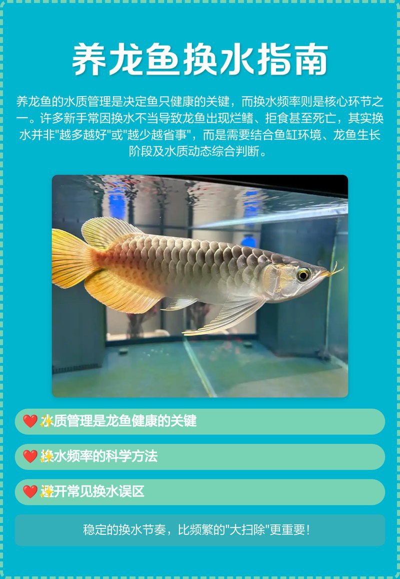 古典龍魚多久換一次水？，養(yǎng)龍魚換水多久一次原來這么多