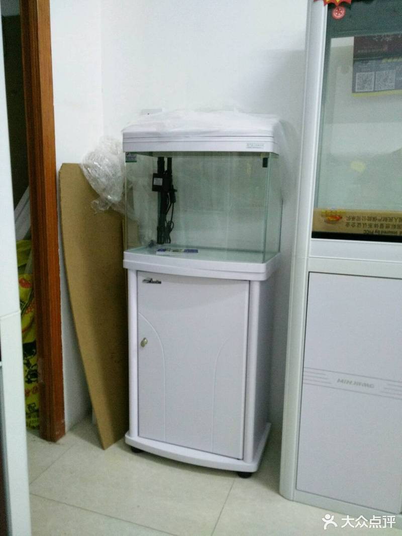 東至水族店，東至縣花鳥魚寵水族館