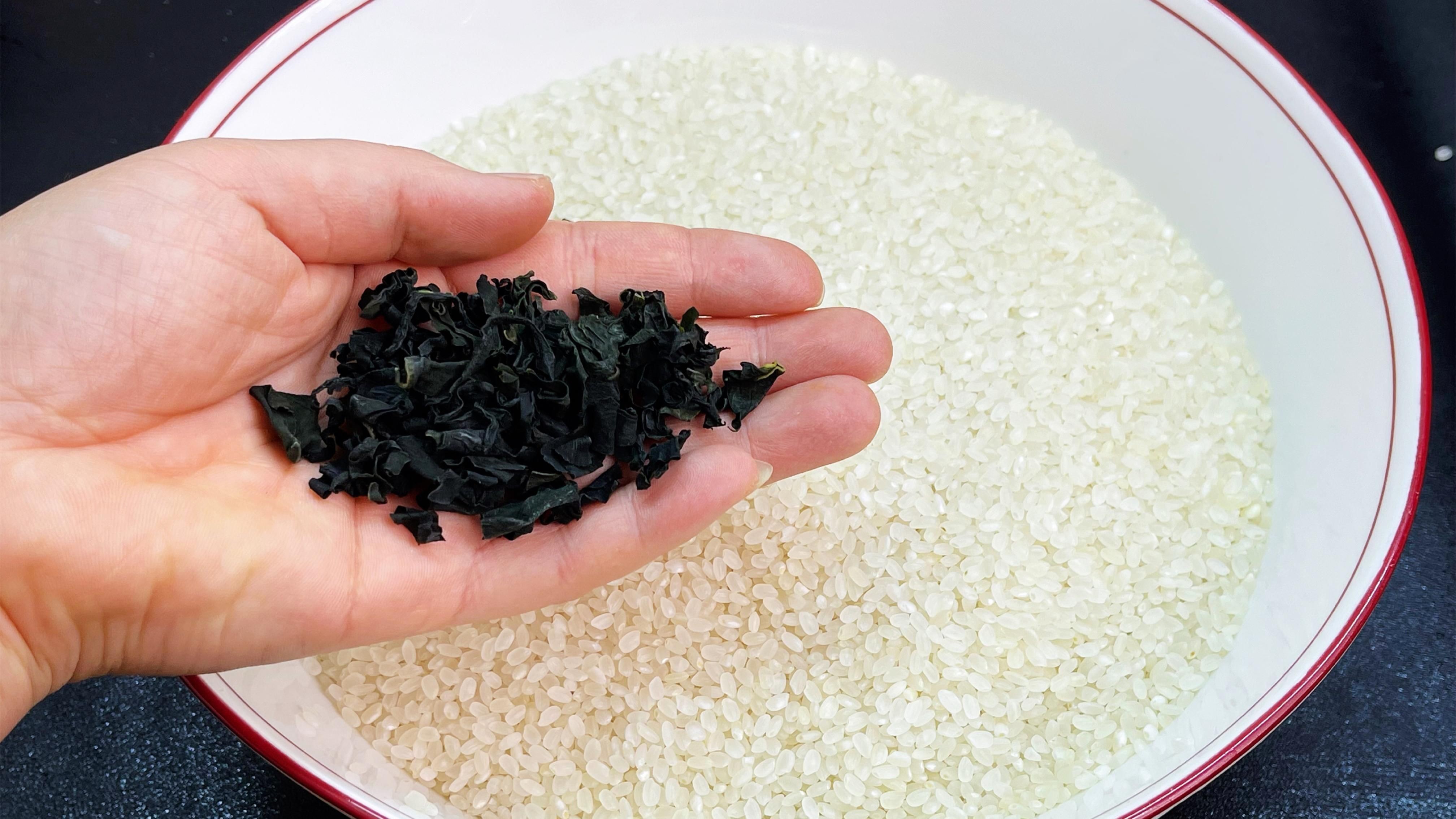 米象蟲，你吃的不是米,是蟲米象蟲的秘密!