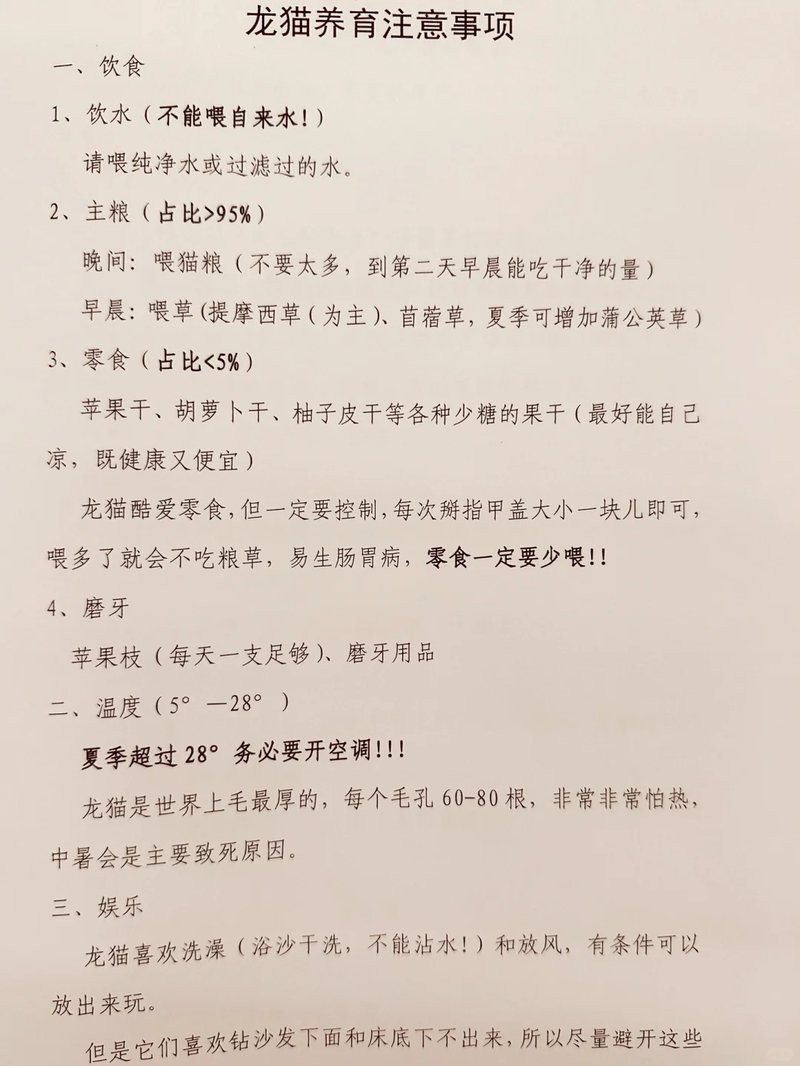 養(yǎng)龍貓的10個(gè)忠告，《不要在它胡須上搞事情》