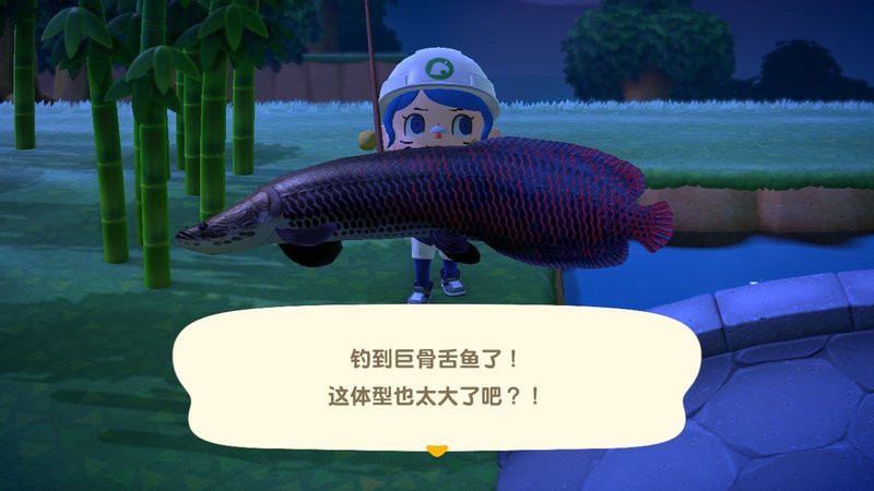 動森骨舌魚，《集合啦動物森友會》南半球珍稀魚類游戲《集合啦動物森友會》