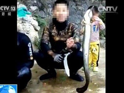 恐龍王魚不能隨便吃，《恐龍王魚不能隨便吃》