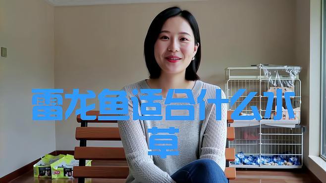 如何選擇適合龍魚缸的水草品種？，如何選擇適合龍魚缸的水草品種