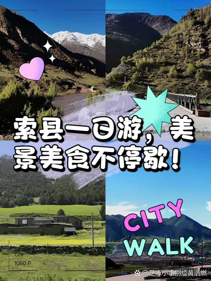 索縣龍魚店，索縣有可能出現龍魚店嗎？