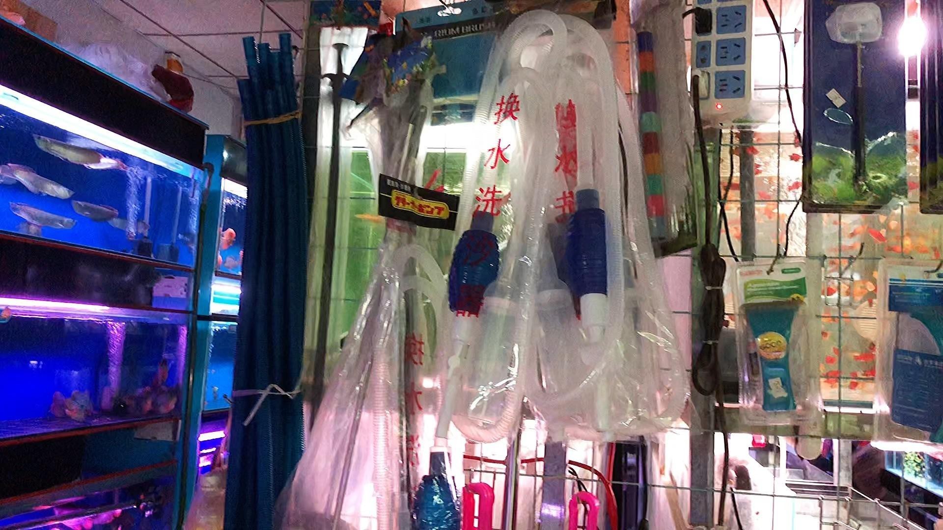 潮州水族店，潮州有哪些水族店？