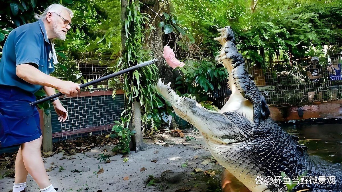 十大巨型鱷魚排行榜，世界十大巨型鱷魚排行榜