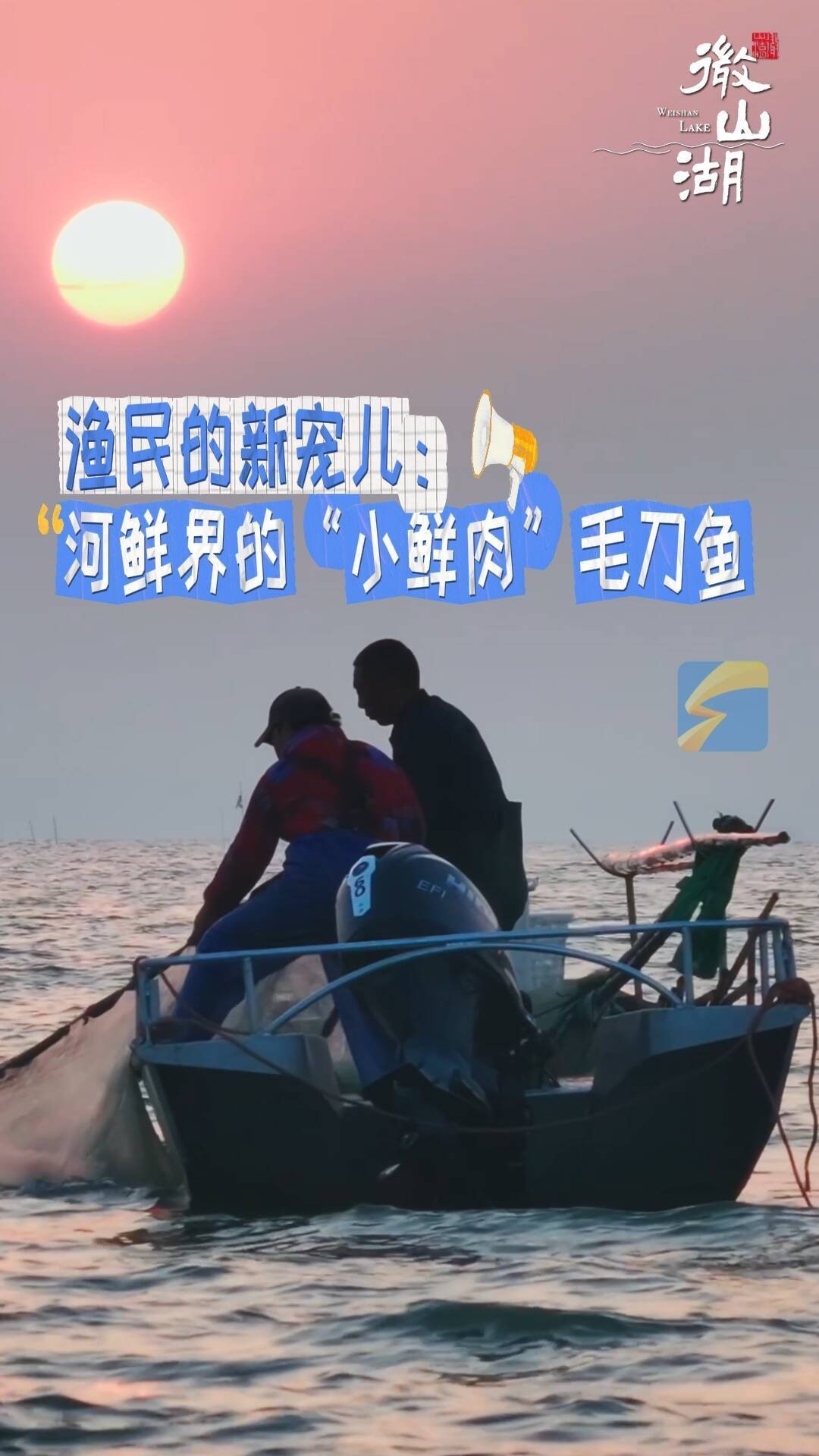 刀魚和毛刀魚的區(qū)別，刀魚和毛刀魚的區(qū)別，刀魚和毛刀魚的區(qū)別小駿育見