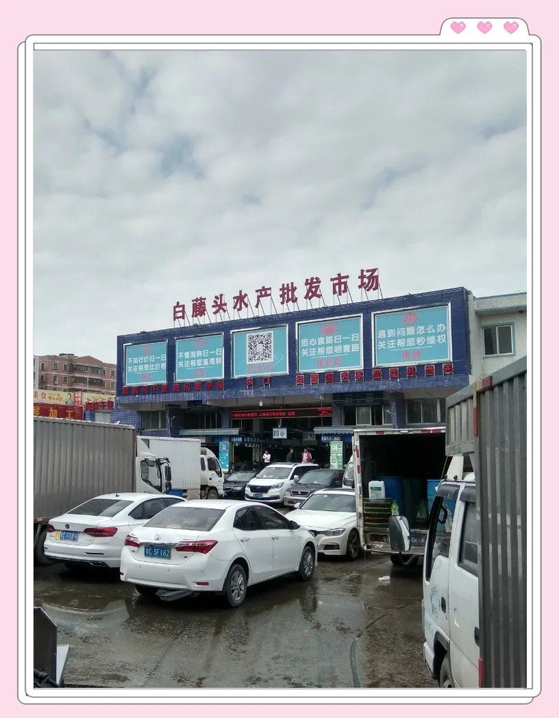 珠海水族批發(fā)市場，珠海水產(chǎn)批發(fā)市場