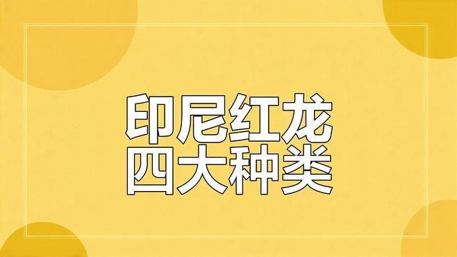 紅龍品種分類，紅龍魚品種大揭秘:辣椒、血紅與橙紅龍的差異與特征