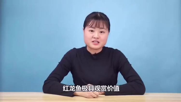 哪種食物來(lái)源對(duì)紅龍魚發(fā)色最好？，什么食物來(lái)源最利于紅龍魚發(fā)色 哪種食物來(lái)源對(duì)紅龍魚發(fā)色最好？，什么食物來(lái)源最利于紅龍魚發(fā)色 龍魚百科 第3張