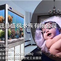 聊城水族店，聊城東昌府區(qū)彩魚水族館愛企查聊城水族批發(fā)市場(chǎng)在哪里