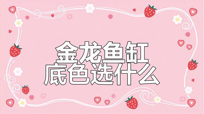 養(yǎng)金龍魚(yú)缸底用黑色還是白色，《金龍魚(yú)缸底色會(huì)用黑色還是白底白背景飼養(yǎng)會(huì)使古典金龍魚(yú)發(fā)色的選擇