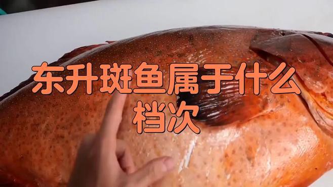 東星斑屬于什么檔次，東星斑屬于什么檔次英倫雙寶智庫屬于什么檔次英倫雙寶智庫