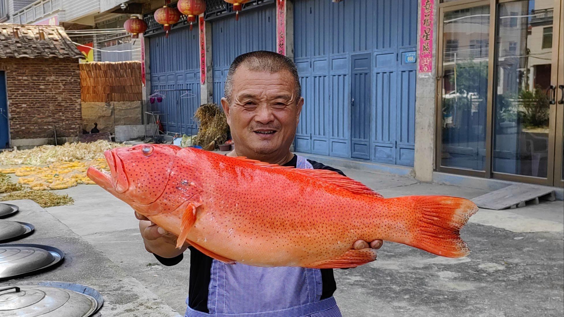 東星斑屬于什么檔次，東星斑屬于什么檔次英倫雙寶智庫屬于什么檔次英倫雙寶智庫