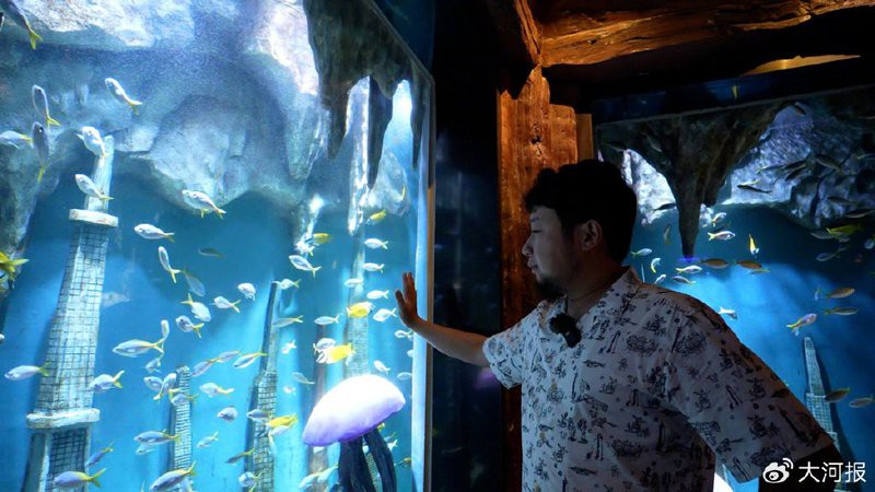 滎經(jīng)水族店，滎經(jīng)縣有哪些知名水族店
