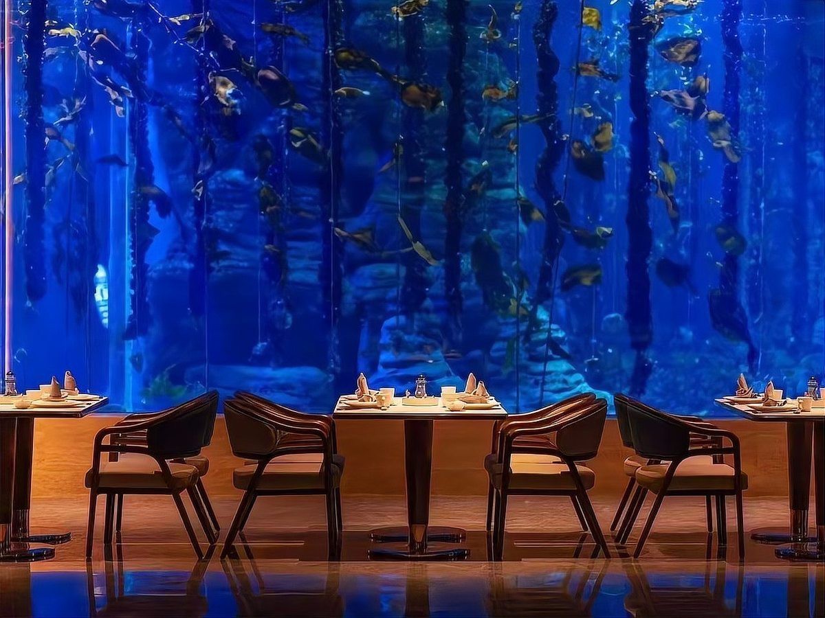 海西龍魚店，海西龍魚店有哪些特色服務