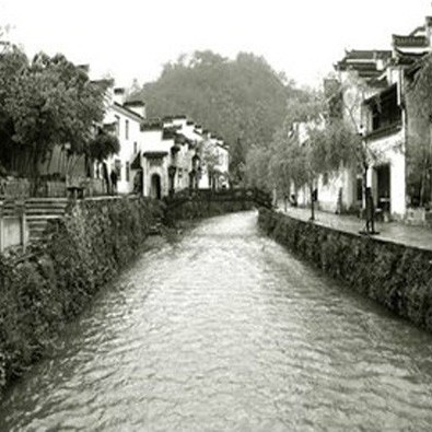績(jī)溪龍魚店，安徽宣城績(jī)溪龍魚店