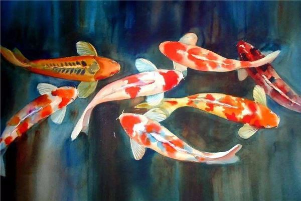 五條魚的風(fēng)水寓意，五條魚的傳統(tǒng)文化與風(fēng)水學(xué)