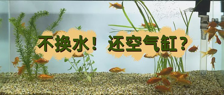 農村濾材100種清單，農村實用濾材百種全攻略