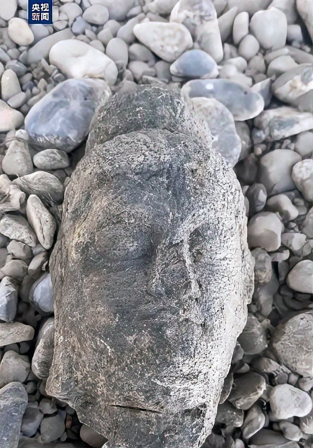 佛頭魚圖片，“佛頭魚”是什么？ 佛頭魚圖片，“佛頭魚”是什么？ 龍魚論壇 第29張