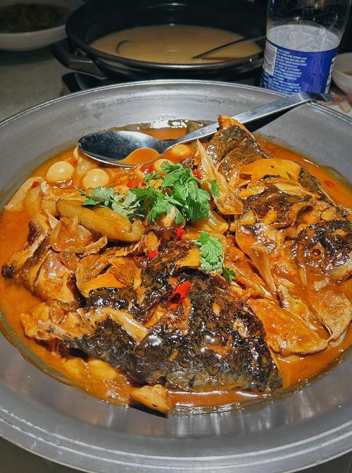 佛頭魚圖片，“佛頭魚”是什么？ 佛頭魚圖片，“佛頭魚”是什么？ 龍魚論壇 第7張