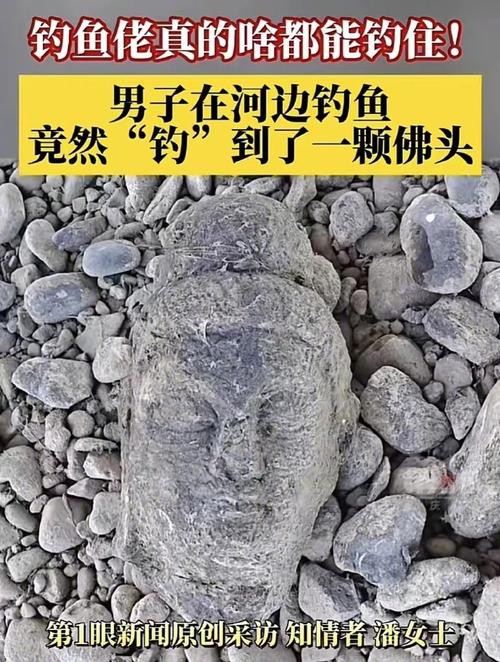 佛頭魚圖片，“佛頭魚”是什么？ 佛頭魚圖片，“佛頭魚”是什么？ 龍魚論壇 第11張