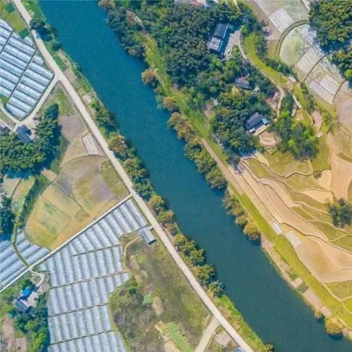 梁平龍魚(yú)店，梁平龍魚(yú)店哪家口碑最好