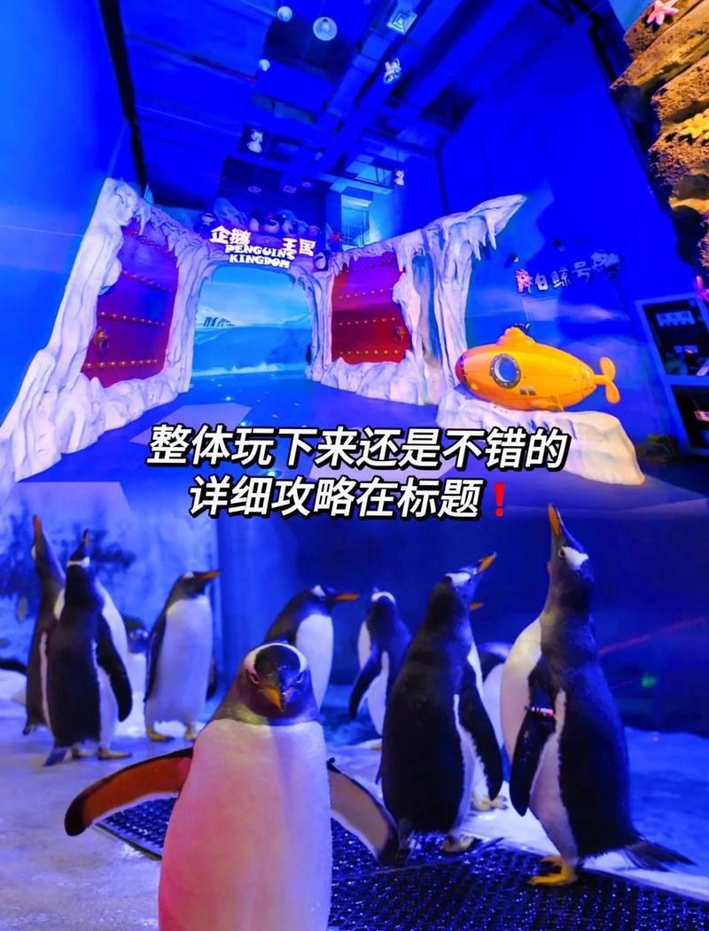 淮安區(qū)水族店，淮安區(qū)水族店是當(dāng)?shù)貙櫸锱c觀賞魚(yú)愛(ài)好者的重要聚集地