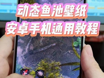 如何設置金龍魚動態壁紙為手機壁紙？，如何設置金龍魚動態壁紙