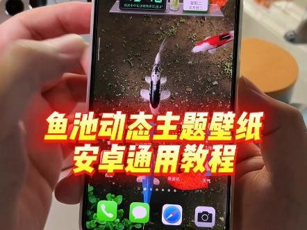如何設置金龍魚動態壁紙為手機壁紙？，如何設置金龍魚動態壁紙