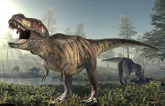 十大最強(qiáng)的恐龍排名，十大最強(qiáng)恐龍——霸王龍（tyrannosaurusrex） 十大最強(qiáng)的恐龍排名，十大最強(qiáng)恐龍——霸王龍（tyrannosaurusrex） 龍魚(yú)論壇 第2張