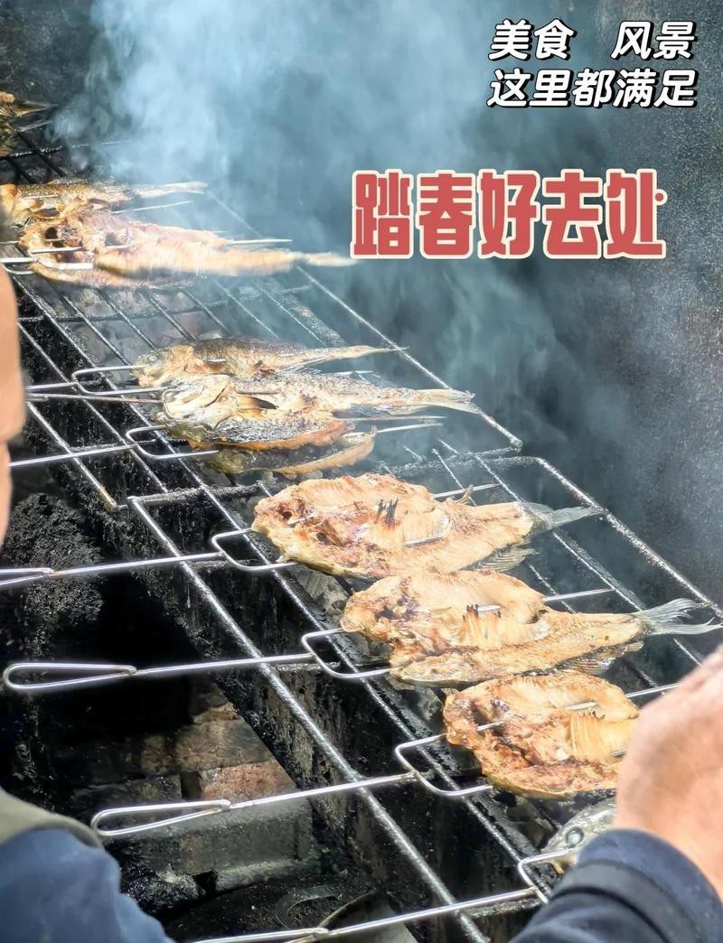 滎經龍魚店，滎經縣有龍魚專賣店嗎