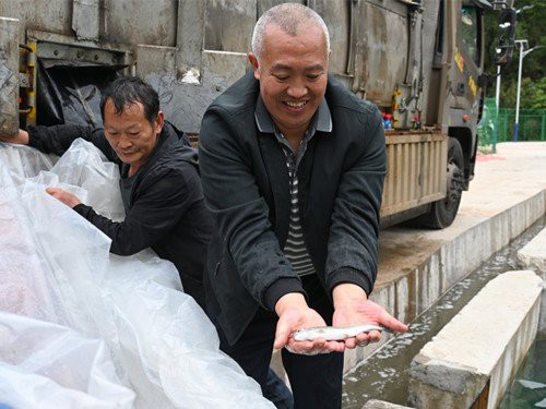 滎經龍魚店，滎經縣有龍魚專賣店嗎