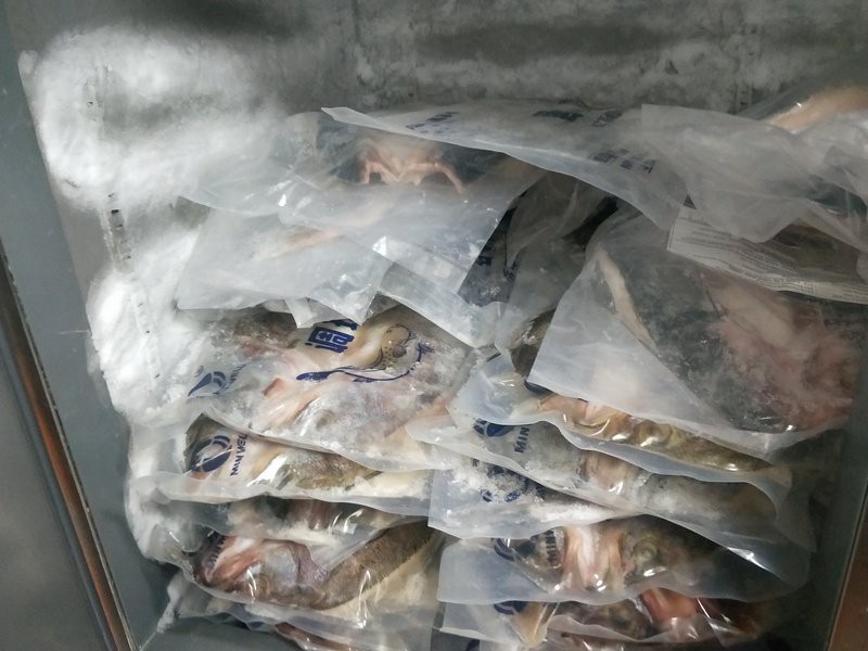 瑯琊龍魚店，廣州瑯琊龍魚店有哪些特色品種能否分享一些龍魚養(yǎng)殖技巧