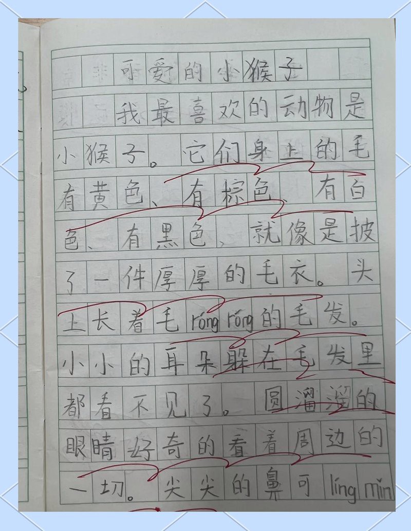 動(dòng)物園大全500種動(dòng)物，《動(dòng)物園大全500種動(dòng)物》