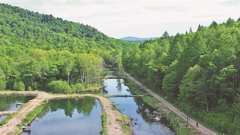 積石山龍魚店，濰坊積石山龍魚店有哪些特色產品