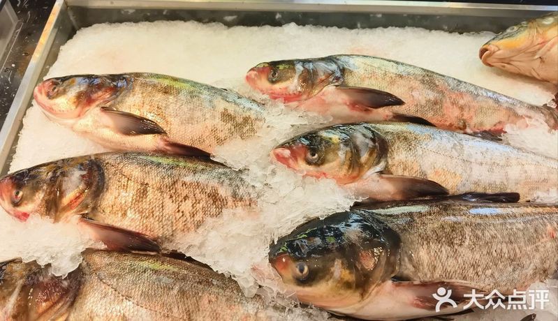 德城龍魚店，德城龍魚店的具體地址在哪里