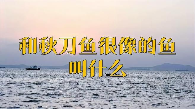 類似刀魚的魚有哪些,長得像刀魚但是不是刀魚 龍魚百科 第5張 類似刀魚的魚有哪些,長得像刀魚但是不是刀魚 類似刀魚的魚有哪些,長得像刀魚但是不是刀魚 龍魚百科 第5張